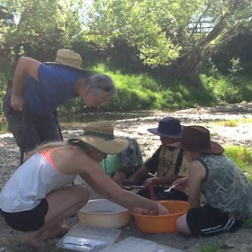 Murray Palmer teaching students how to identify macroinvertebrates found in their local awa.