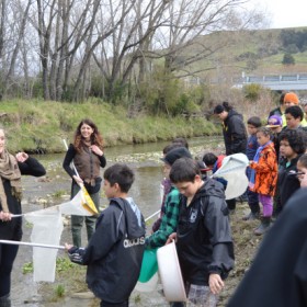 Freshwater Workshop teaching local community groups how to monitor their local waterways